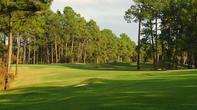 Pinehurst Resort & Country Club - #1 Course - photo 4