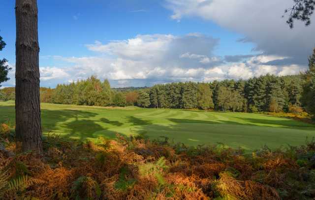 Tilgate Forest Golf Centre - photo 3