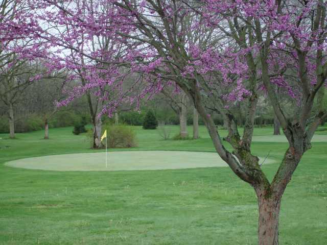 Logans Run Family Golf Center