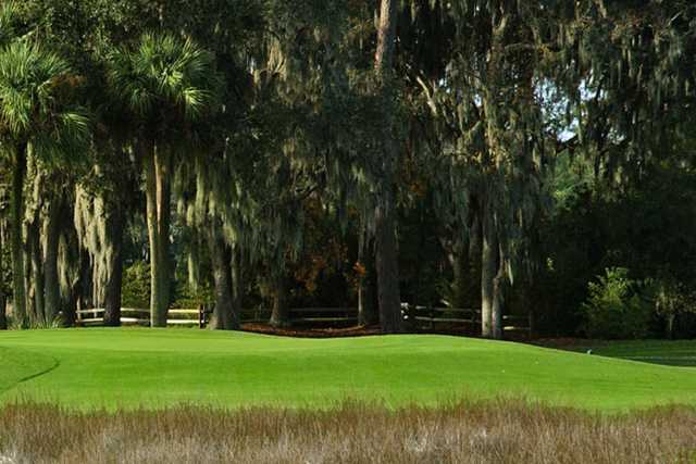Moss Creek Golf Club - photo 3