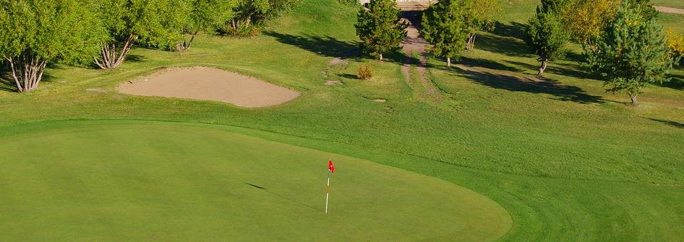 Meadowlands Golf Club - photo 7