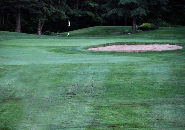 Thunderbird Golf - photo 3