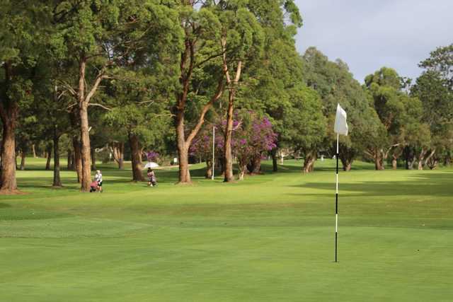 Warringah Golf Club - photo 4