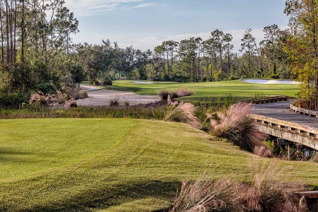 Tiburon Golf Club - Black Course - photo 8