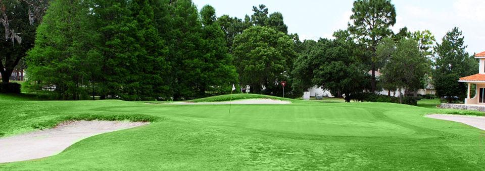 Silverthorn Country Club - photo 7