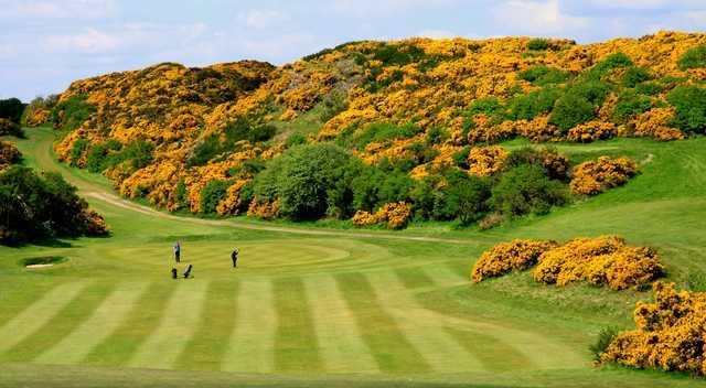 Braid Hills Golf Club - photo 3