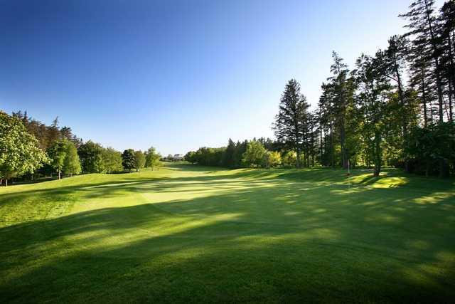 Druids Glen - photo 5