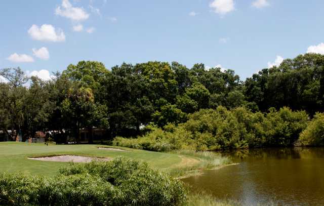 Babe Zaharias Golf Course Tampa - photo 3