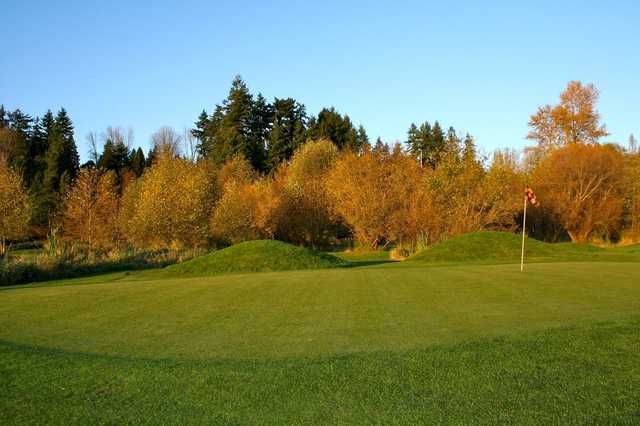 Birdies & Buckets Family Golf Centre - 9-Hole Course - photo 2