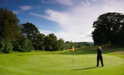 Tapton 9 - Dobbin - photo 3