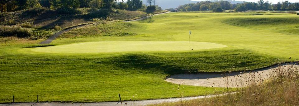 The Links at Hiawatha - photo 7
