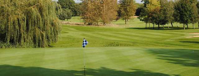Deanwood Park Golf Course - photo 4