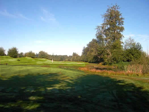 Tall Timbers Golf Course - photo 2