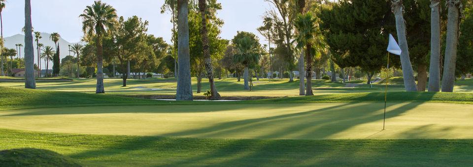 Sun City Country Club - photo 7