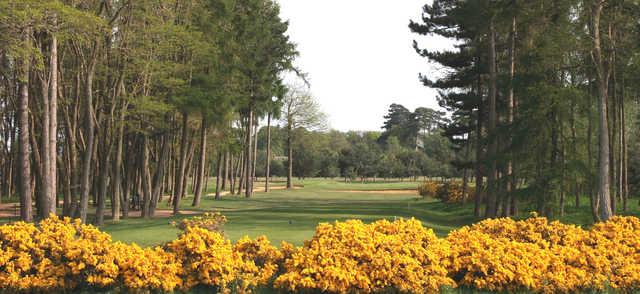 Frilford Heath Golf Club - Blue Course - photo 2