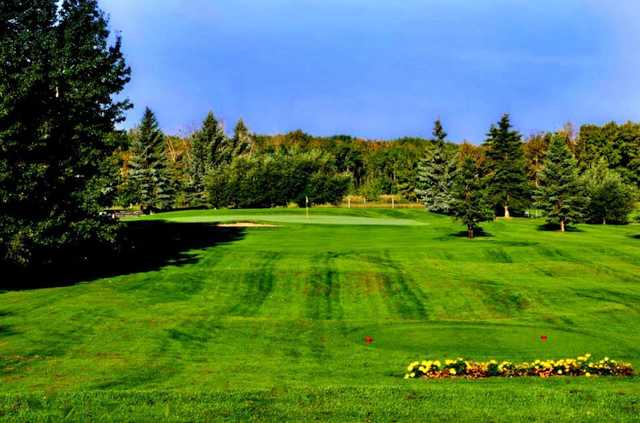 Cardiff Golf & Country Club - photo 2