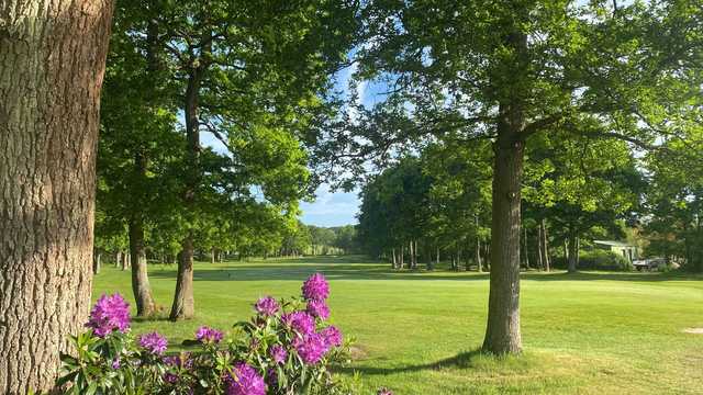 Drift Golf Club - photo 4