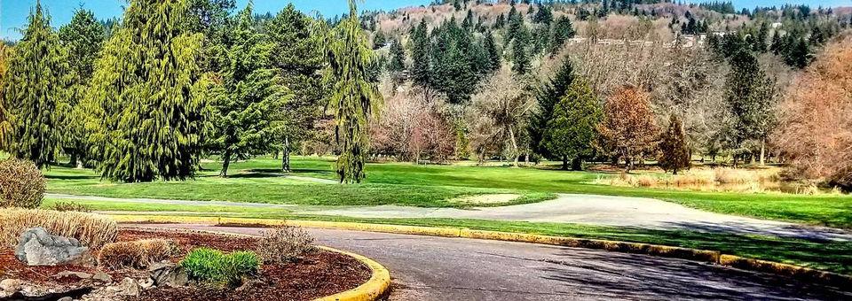 Mint Valley Golf Course - photo 6