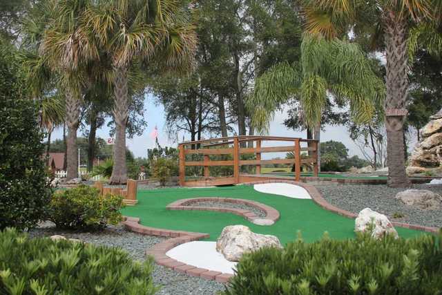 Tree Tops Golf and Driving Range - photo 3