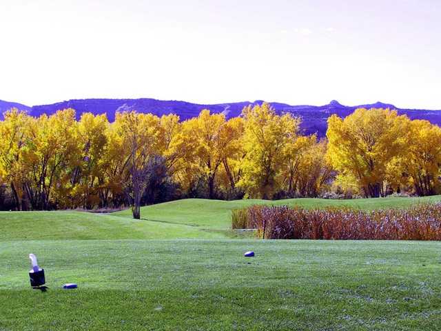 Adobe Creek National Golf Course - photo 6