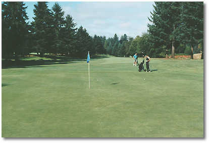 Springwater Golf Course - photo 4