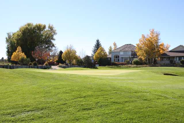 Boomerang Links - photo 1