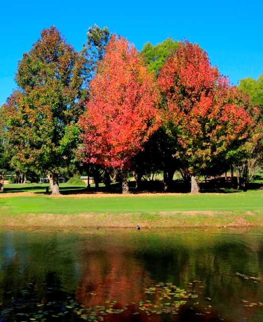 Jamberoo Golf Club - photo 4