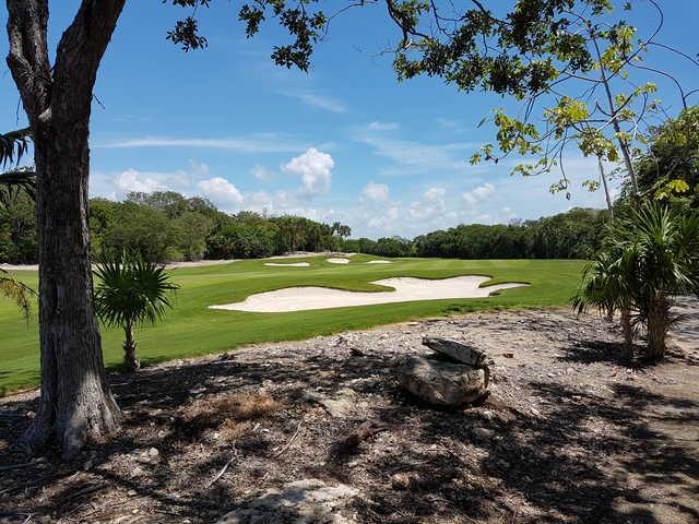 Gran Coyote Golf - photo 4