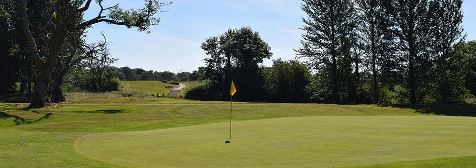 New Forest Golf Club - photo 8