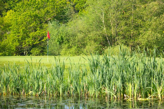 Crondon Park - Championship Course