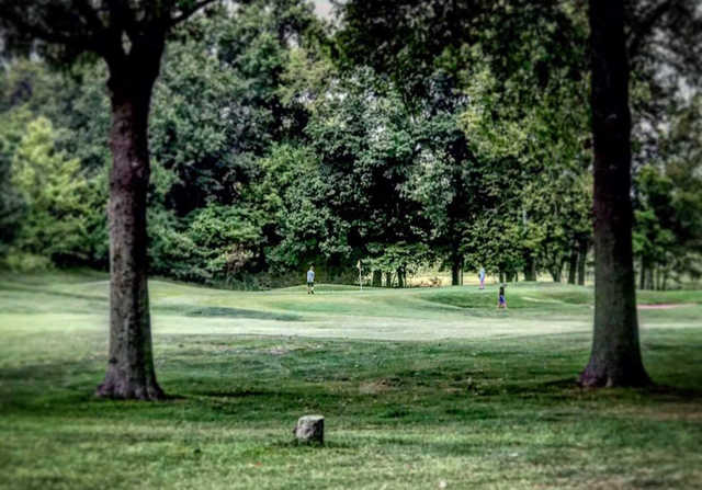 Quail Creek - photo 3