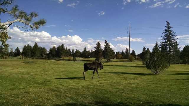 Little America Resort & Golf - photo 2