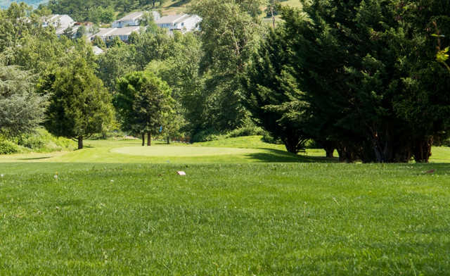Bear Creek Golf Course - photo 3