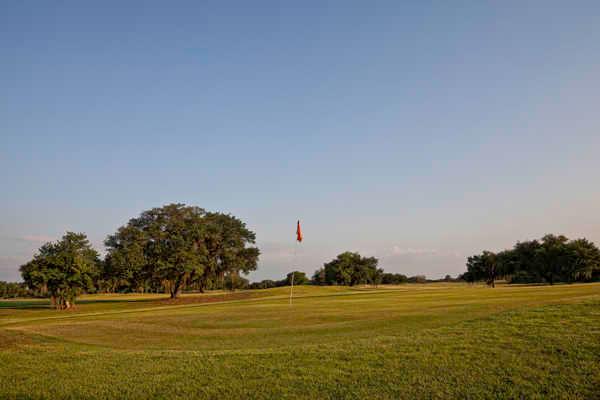 Westgate River Ranch Resort - photo 2