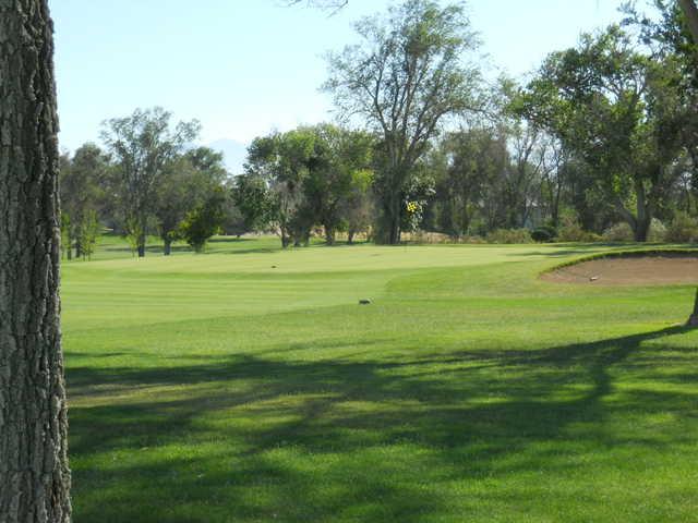 Apple Valley - photo 4