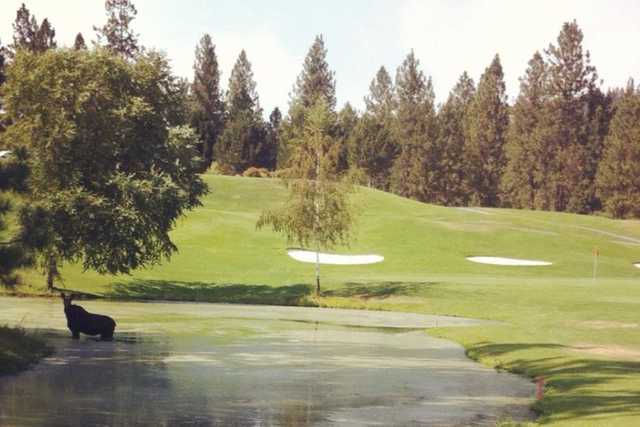 The Creek at Qualchan - photo 3