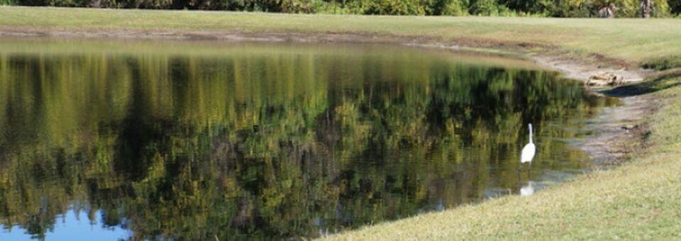 Silver Dollar Golf Club - photo 4