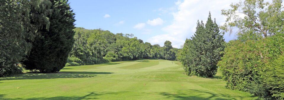 Dinas Powis Golf Club - photo 8