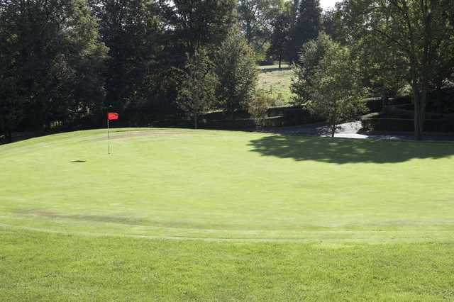 Shendish Manor Hotel and Golf Course - photo 3