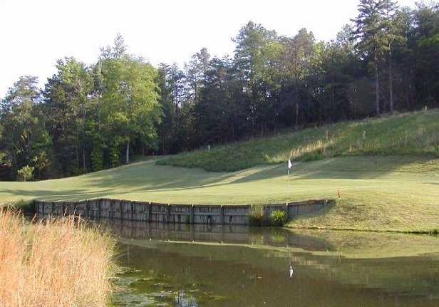 Tega Cay Golf Club - photo 3