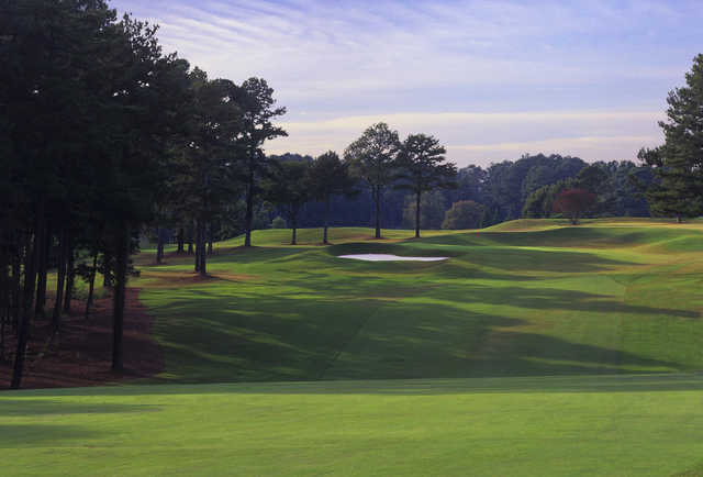 University of Georgia - photo 4
