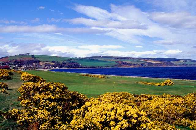 Fortrose & Rosemarkie Golf Club - photo 3