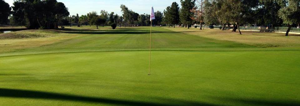 Palo Verde Golf Course - photo 5