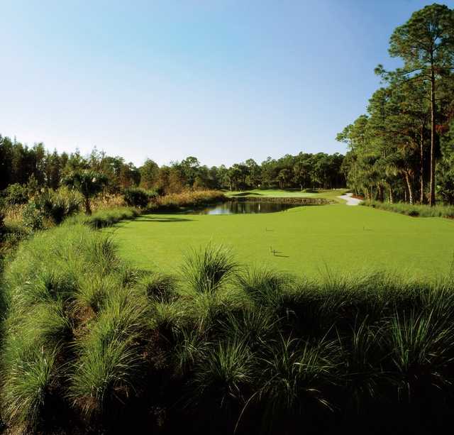 Old Marsh Golf Club - photo 1
