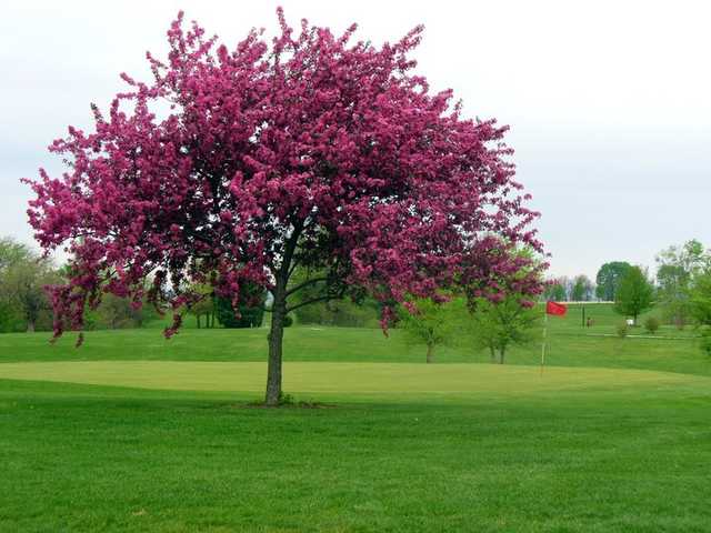 Country Hills Golf Course - photo 3