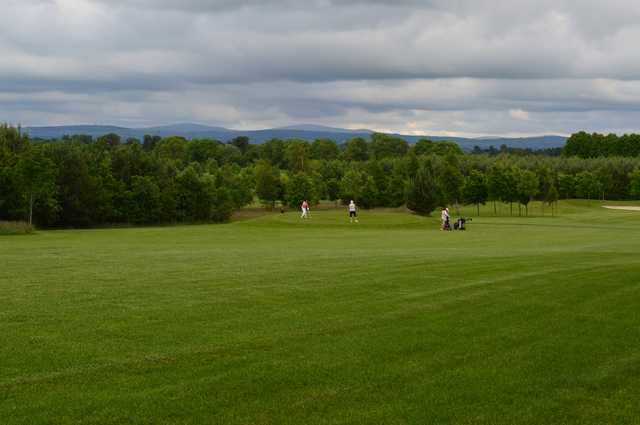 Millicent Golf Club