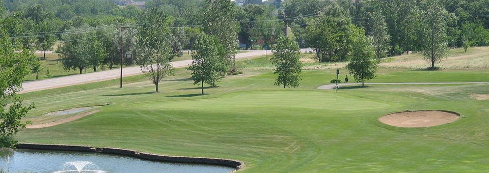 Heritage Links Golf Club - photo 4