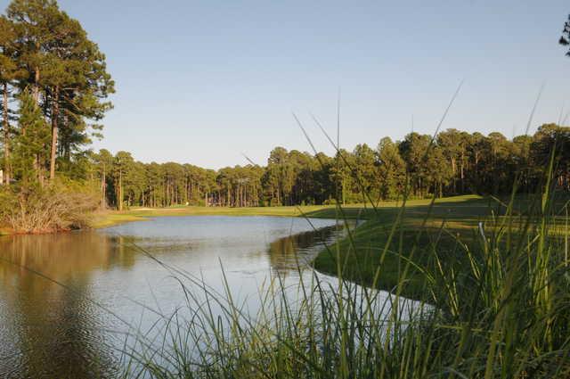Palmetto Hall Plantation Club - Robert Cupp Course - photo 2