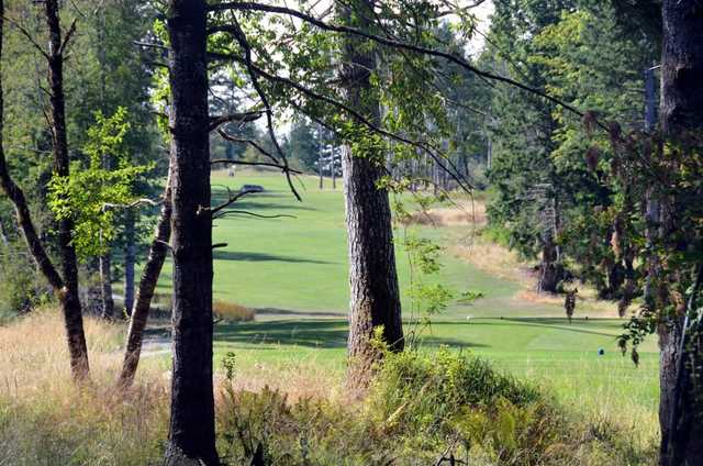 Quadra Island Golf Course - photo 5