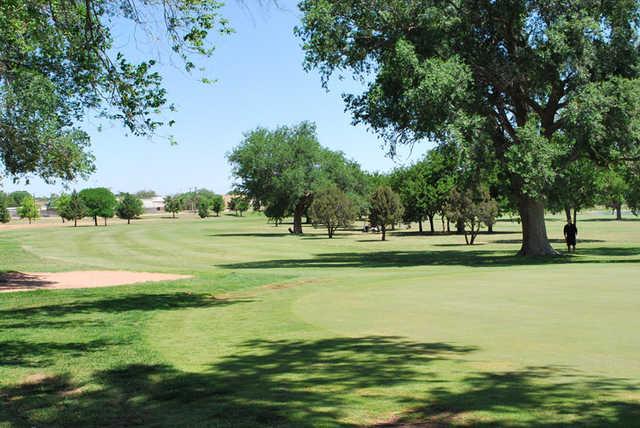 Reese Golf Center - photo 2